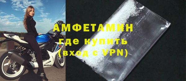 хмурый Белокуриха