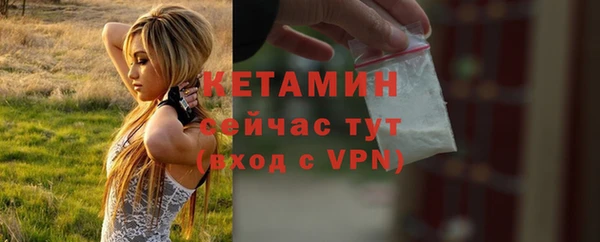 хмурый Белокуриха