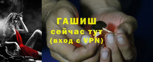 хмурый Белокуриха