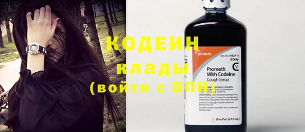 хмурый Белокуриха