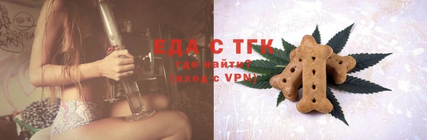 хмурый Белокуриха
