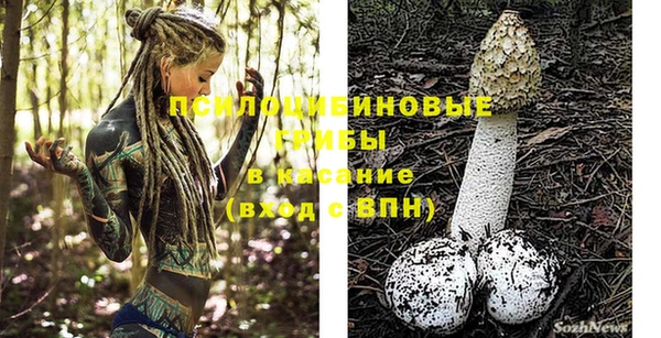 хмурый Белокуриха