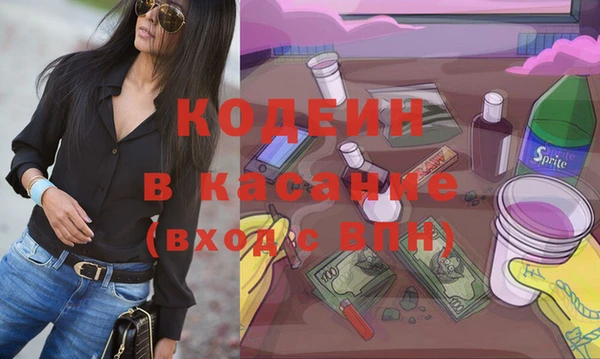 хмурый Белокуриха