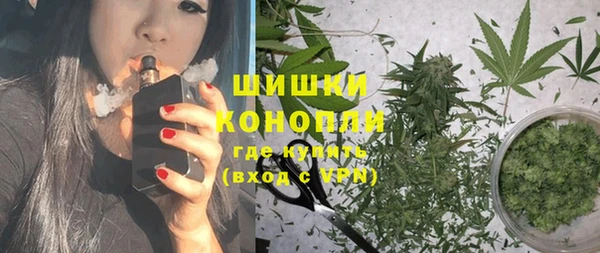 хмурый Белокуриха