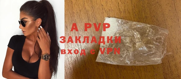хмурый Белокуриха