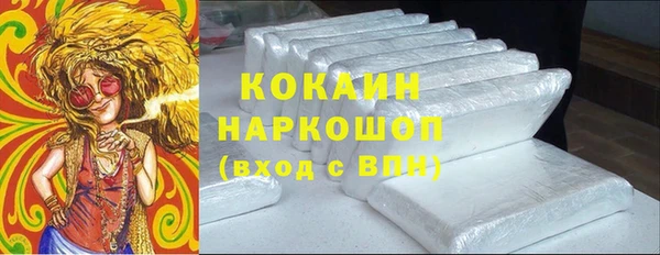 хмурый Белокуриха