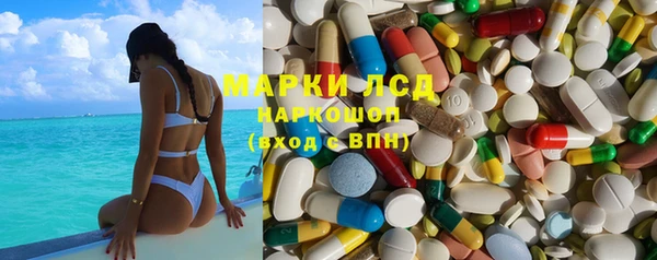 хмурый Белокуриха