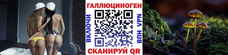 Галлюциногенные грибы GOLDEN TEACHER  omg маркетплейс  Тогучин 