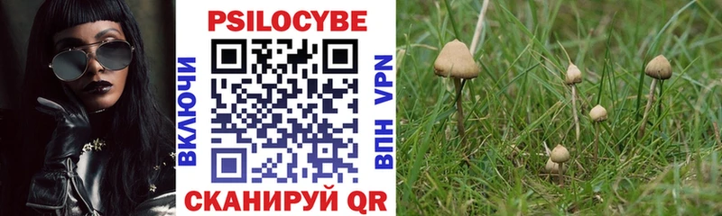 Псилоцибиновые грибы прущие грибы Тогучин